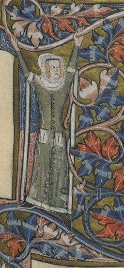 veil with stiff frills