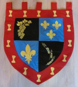 Vaandel met zelfbedacht wapen; genaaid en geborduurd. Wapenschild van stof